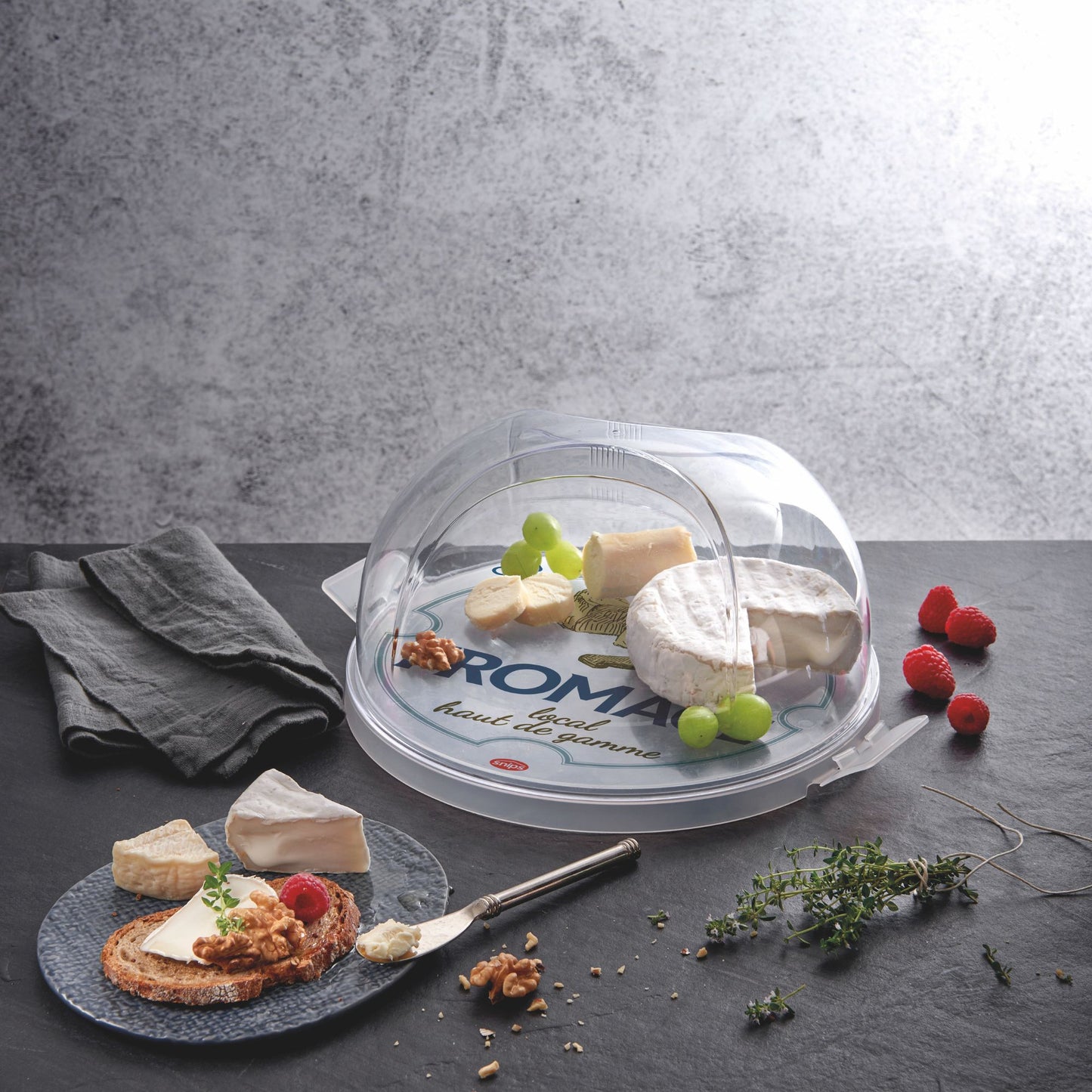 Snips by Widgeteer Round Cheese Storage Container, 9", Clear