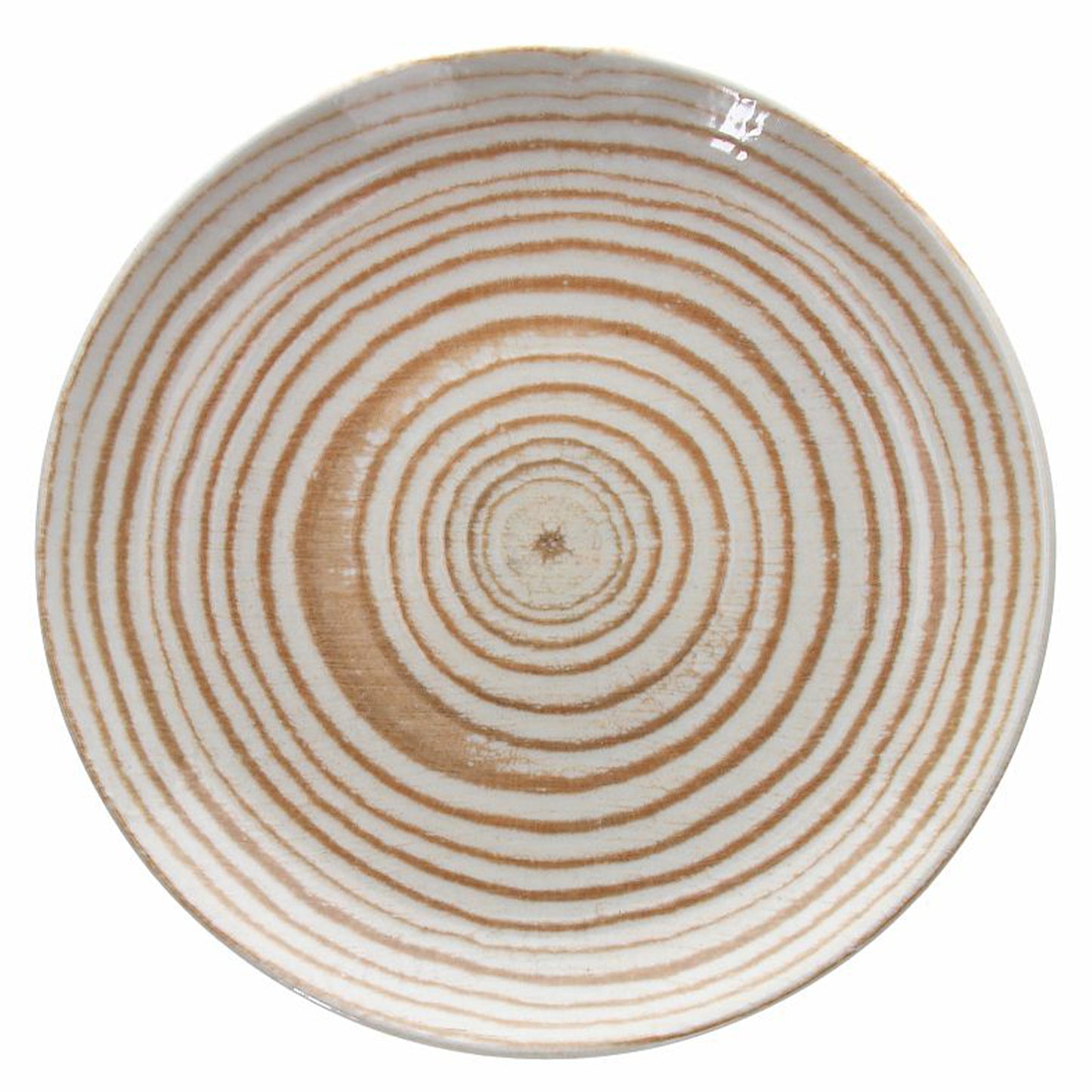 CP000268713