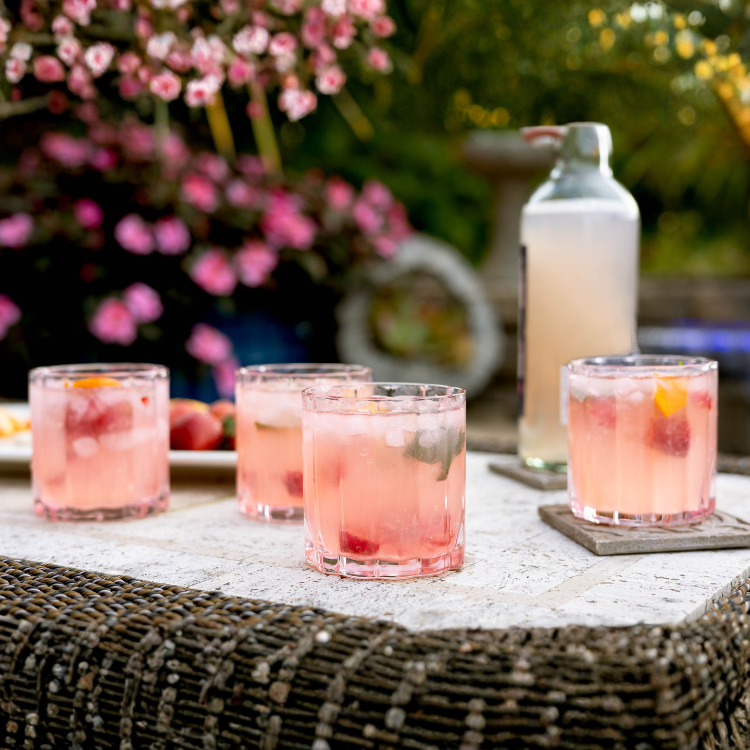 Jeanne Fitz Scalloped Collection Short Tumbler Glass - Blush, Set of 4