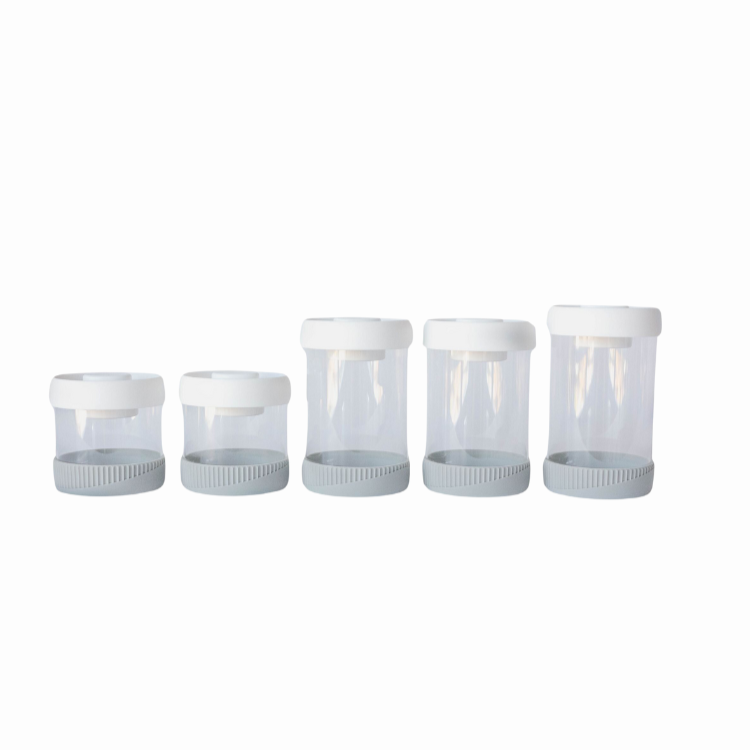 Jeanne Fitz Vacuum Storage Canisters - Set of 5