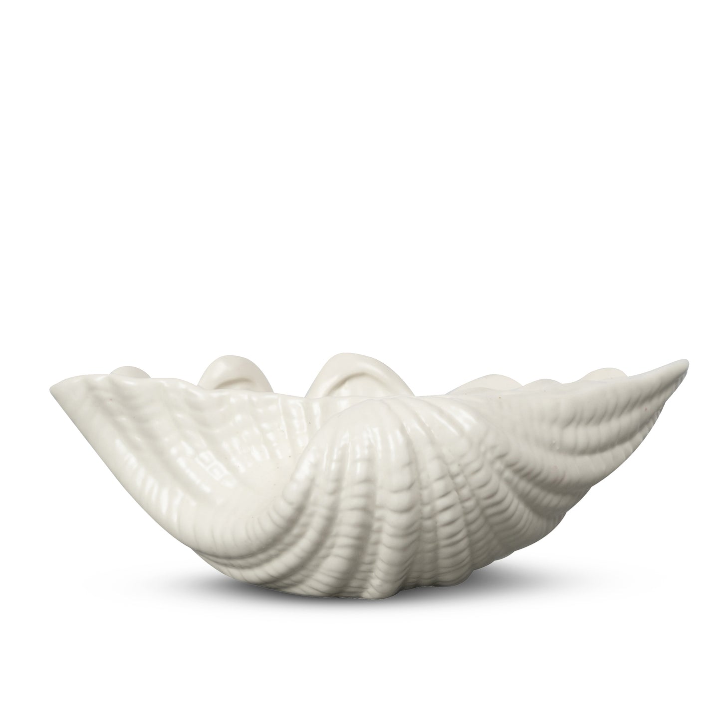 ByON by Widgeteer Shell Bowl, Ceramic, White